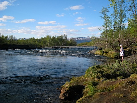 Abisko Juni 2009 dag 5 - 43.jpg